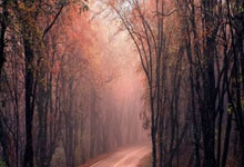 角逐悬念：紧张的比赛引人入胜